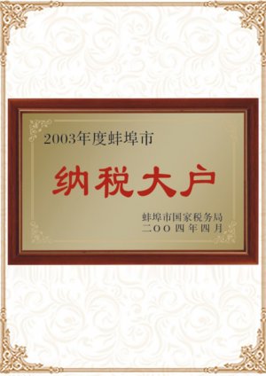 2003年納稅大戶